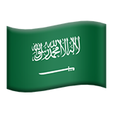 🇸🇦
