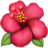 🌺