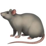 🐀
