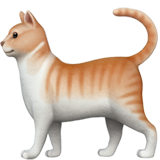🐈