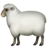 🐑