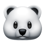 🐻‍❄️