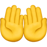 🤲
