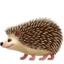 🦔