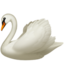 🦢
